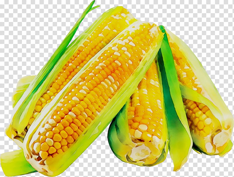 Chicken, Corn On The Cob, News, Trade, Economy, Production, Day, Market transparent background PNG clipart