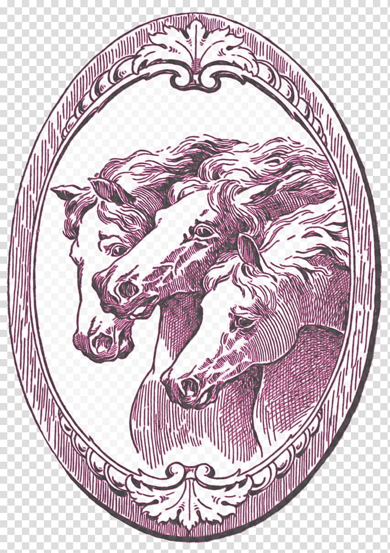 Horse, Arabian Horse, Drawing, Wild Horse, Jockey, Equus, Circle transparent background PNG clipart