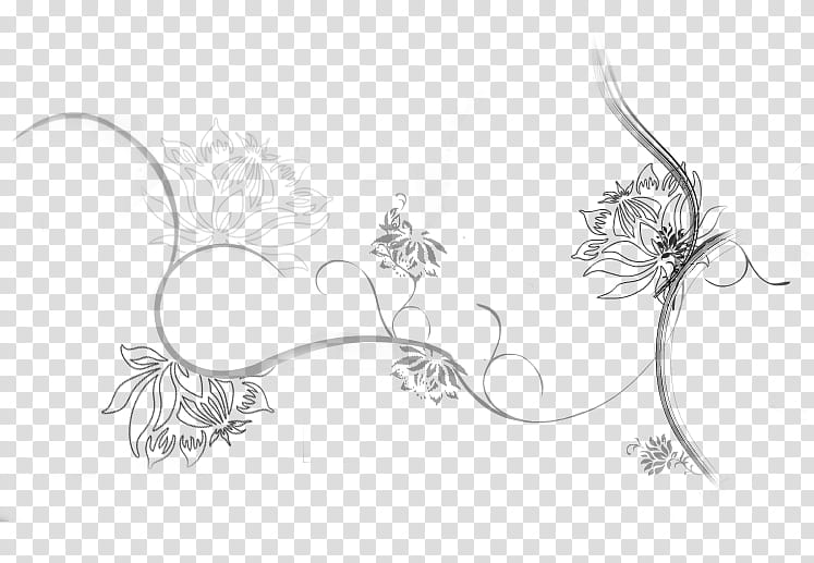 Lamoure Brushes , flower sketch transparent background PNG clipart