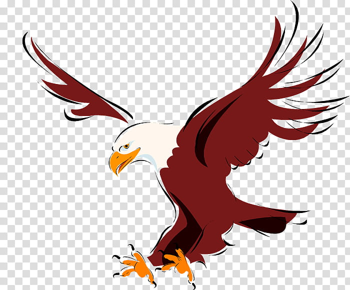 Business Meeting, National Primary School, School
, First Grade, Eagle, Student, Summerville High School, Middle School transparent background PNG clipart