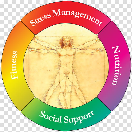 Stress, Health, Medicine, Integrative Medicine, Psychological Stress, Medicine Wheel, Circle, Lifestyle Prescriptions University transparent background PNG clipart