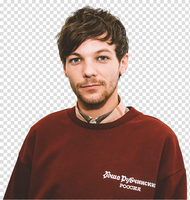 Louis Tomlinson, man wearing sweater illustration transparent background PNG clipart