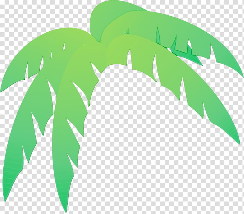 Palm Tree Leaf, Watercolor, Paint, Wet Ink, Palm Trees, Palm Branch, Frond, Rhapis Excelsa transparent background PNG clipart
