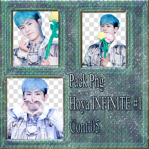 Hoya INFINITE, +Previa-Hoya-INFINITE transparent background PNG clipart