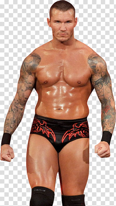 Randy Orton y Chris Jericho Alma Editions transparent background PNG clipart