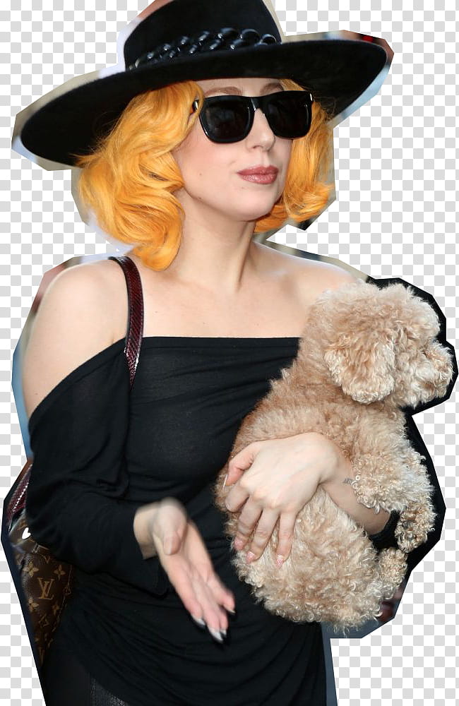 Lady Gaga en Viena Austria transparent background PNG clipart