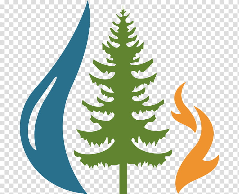 Christmas Tree Line, San Juan National Forest, Fir, Sprucefir Forests, Fire, Engelmann Spruce, Conifers, Douglas Fir transparent background PNG clipart