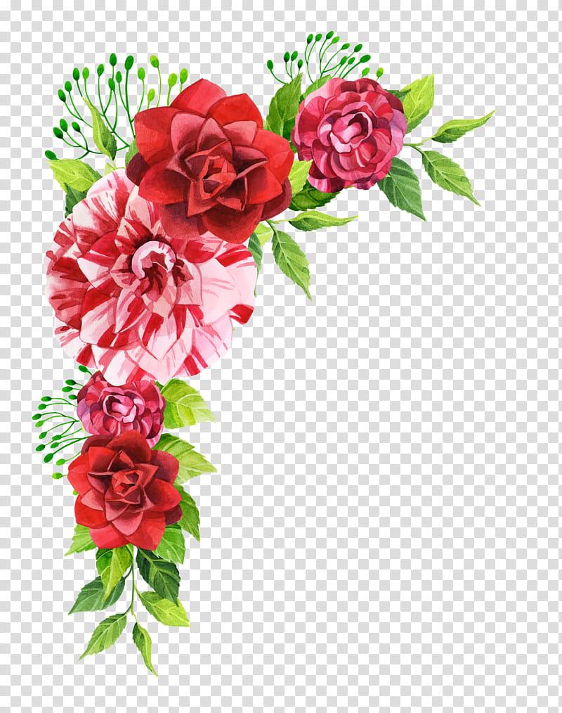 Pink Flower, Rose, , Bud, White, Pink Flowers, Floral Design, Green transparent background PNG clipart