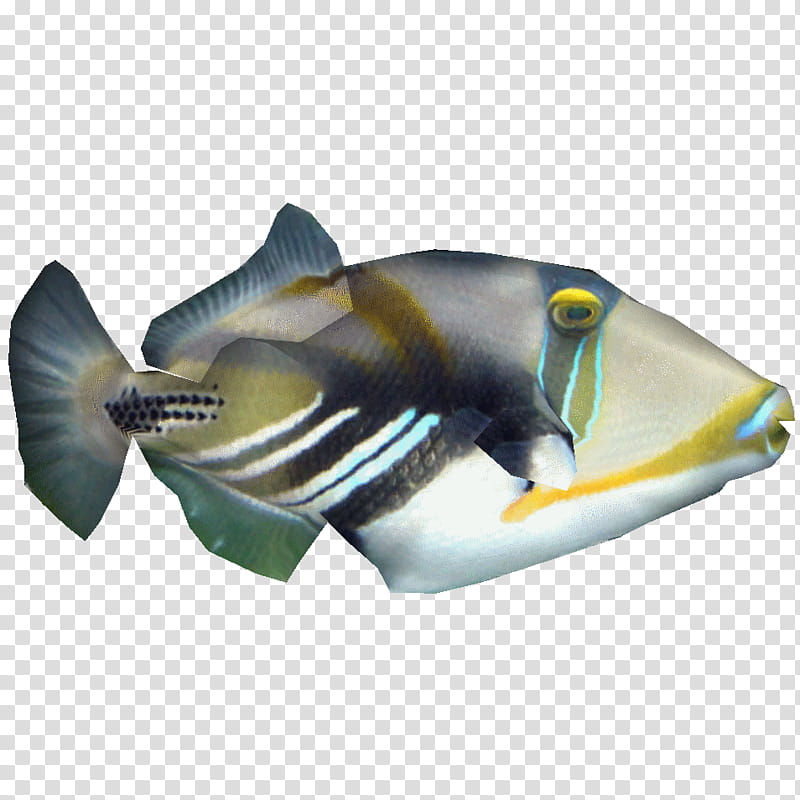 Lion, Lagoon Triggerfish, Species, Library, Ocean, Salty Bottom Reef Company, Nilgai, Fin transparent background PNG clipart