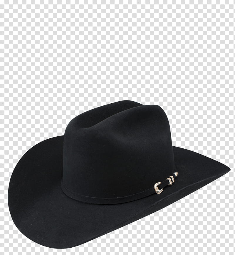Top Hat, Cowboy Hat, Resistol, Stetson, Biberfell, Felt, Fur, Cap transparent background PNG clipart