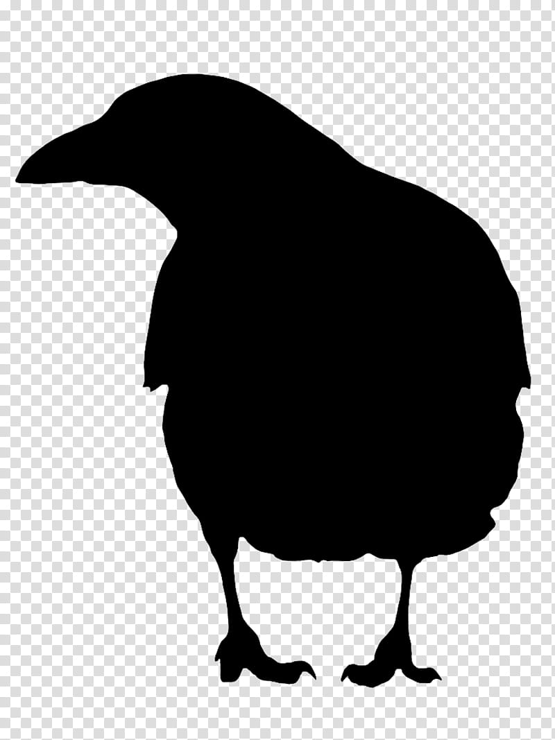 Bird Silhouette, Beak, Landfowl, Crow, Raven, Crowlike Bird, Blackandwhite, Flightless Bird transparent background PNG clipart