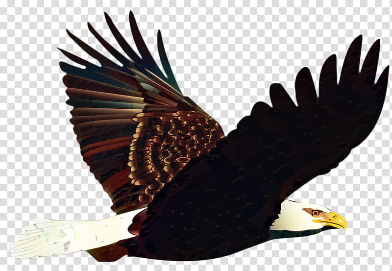 Attacking Eagle stock illustration. Illustration of clipart - 441439