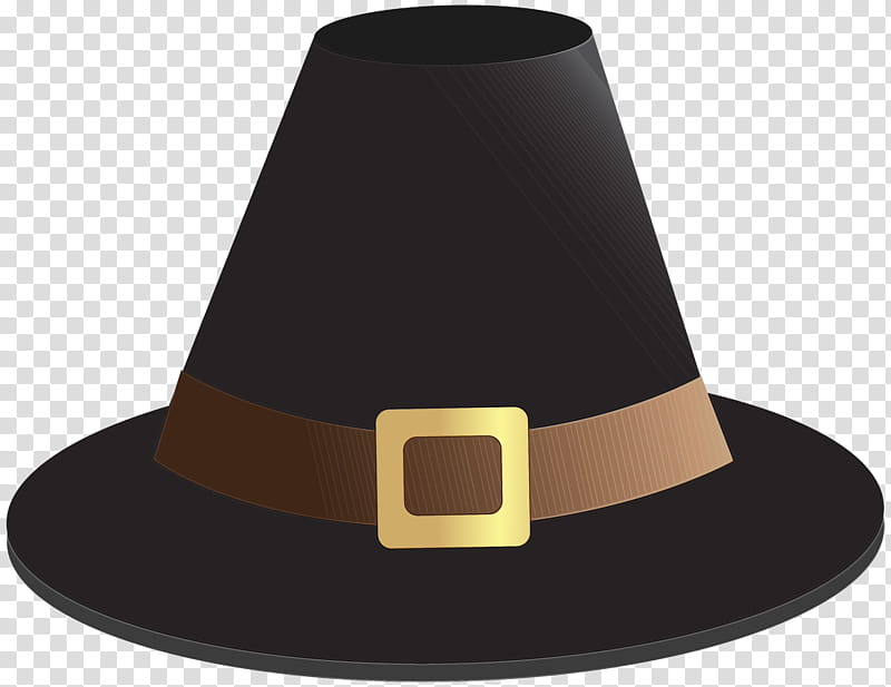 Top Hat, Fedora, Pilgrims Hat, Hatpin, Clothing, Tshirt, Panama Hat, Cap transparent background PNG clipart