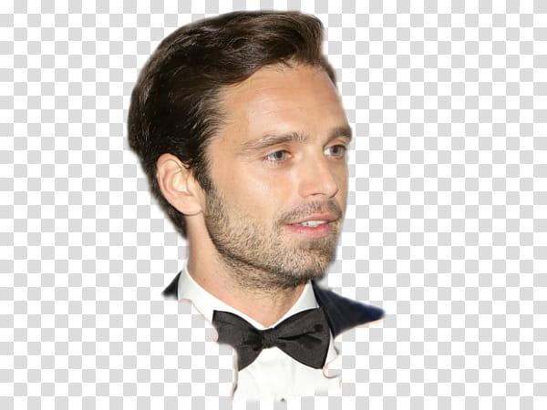 Sebastian Stan XI transparent background PNG clipart