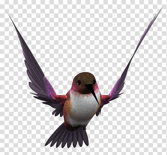 Painting, Bird, Gongbi, Flight, Beak, Wing, Feather, Hummingbird transparent background PNG clipart