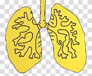 Yellow , yellow and black lungs illustration transparent background PNG clipart thumbnail