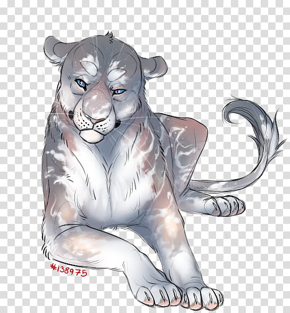 Lion Drawing, Tiger, Whiskers, Character, Puma, Cartoon, Wildlife, Animal Figure transparent background PNG clipart