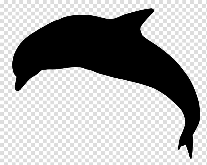 Whale, Dolphin, Cetaceans, Whales, Shortbeaked Common Dolphin, Wholphin, Killer Whale, Computer Software transparent background PNG clipart