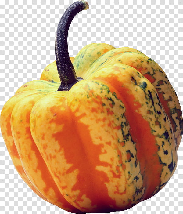 Vegetable, Pumpkin, Gourd, Field Pumpkin, Cucurbits, Melon, Crookneck Pumpkin, Bitter Melon transparent background PNG clipart