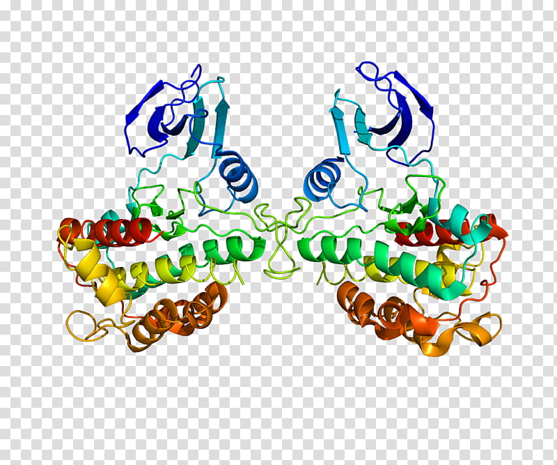 ribosomes clipart flowers