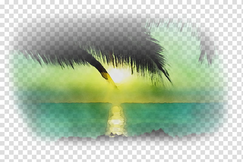 Eye, Water, Energy, Computer, Sky, Green, Eyelash, Yellow transparent background PNG clipart