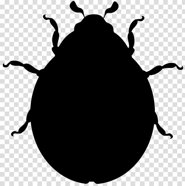 Ladybird, Beetle, Ladybird Beetle, Insect, Pest, Weevil, Blackandwhite transparent background PNG clipart