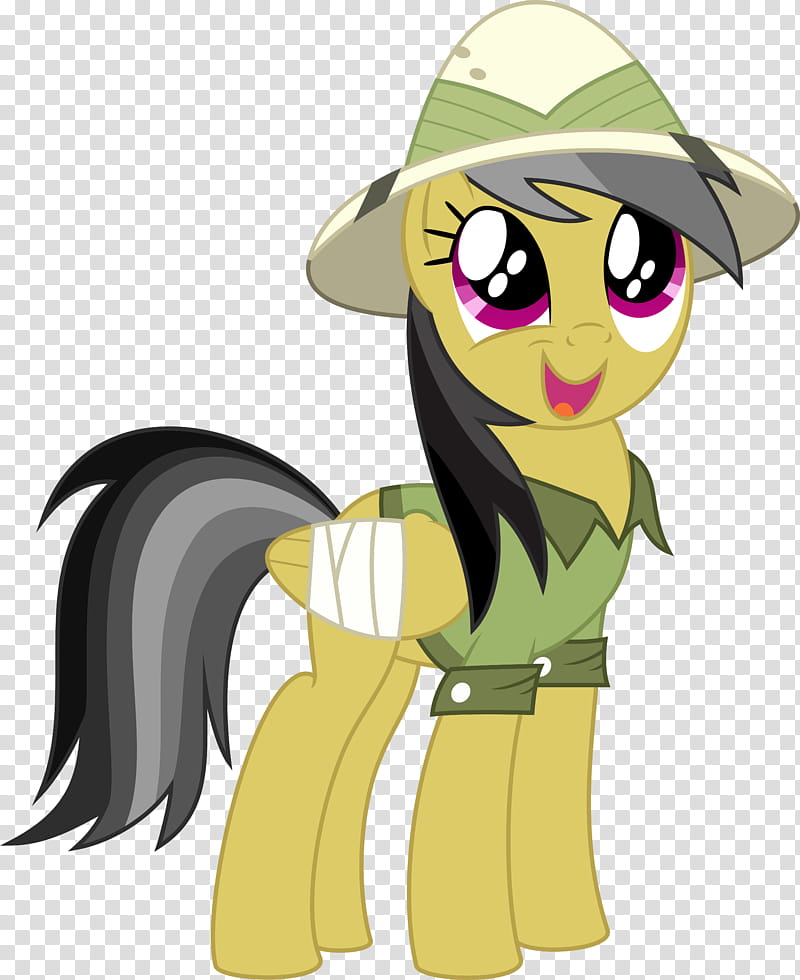 Daring Do transparent background PNG clipart