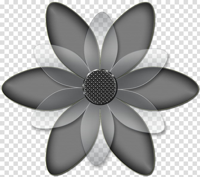 Black And White Flower, Comedy, Textile, Petal, Blackandwhite, Plant, Wheel, Style transparent background PNG clipart
