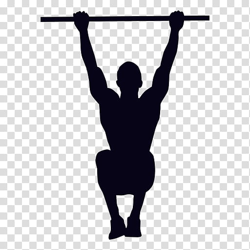 Exercise, Pullup, Silhouette, Pushup, Weight TRAINING, Abdominal Exercise, Video, Calisthenics transparent background PNG clipart