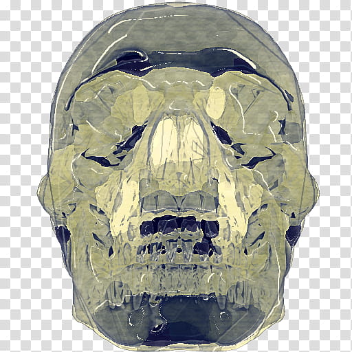 Skull, Jaw, Head, Snout, Bone, Art, Rock transparent background PNG clipart