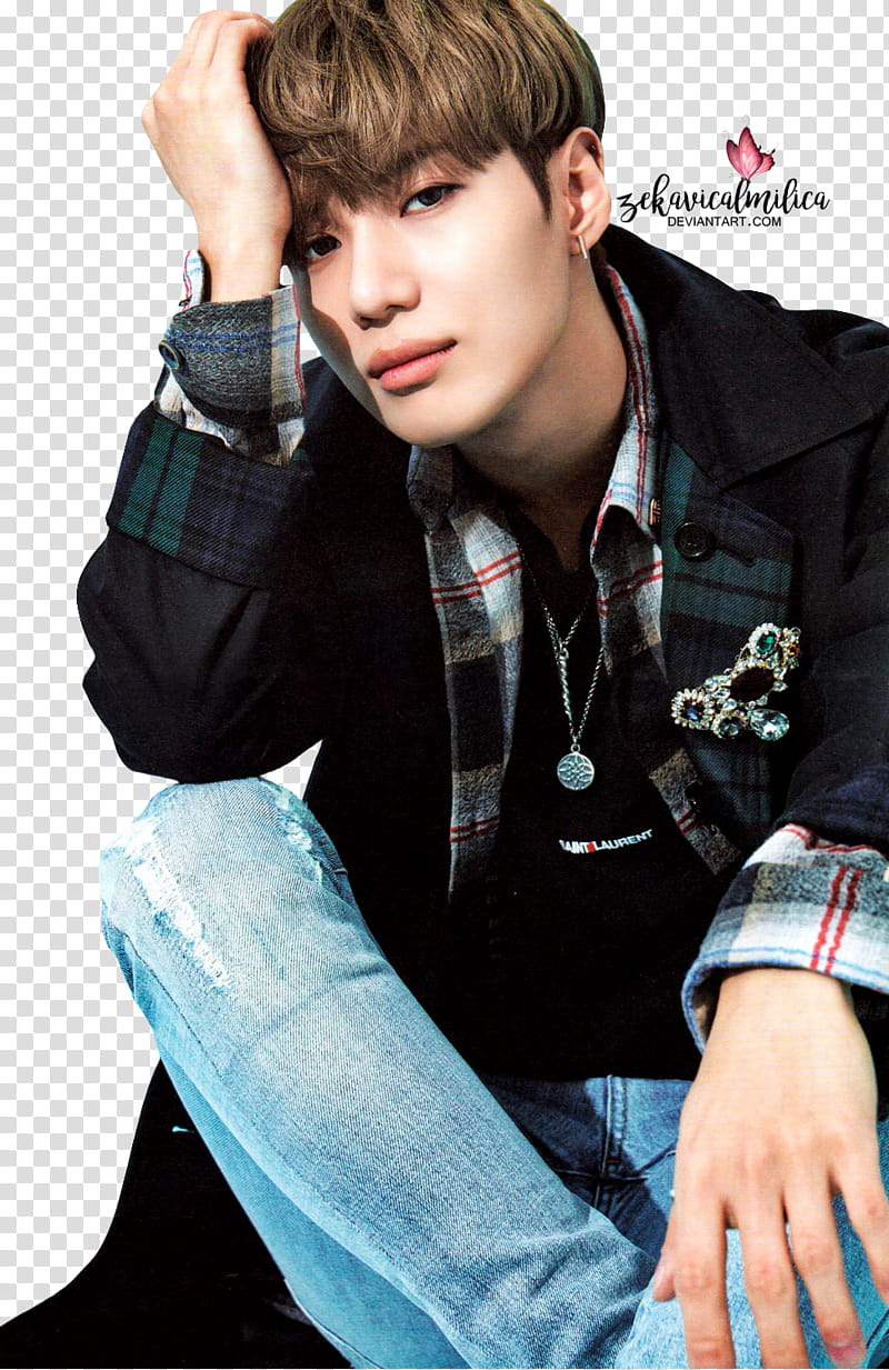 SHINee Taemin Season Greetings transparent background PNG clipart