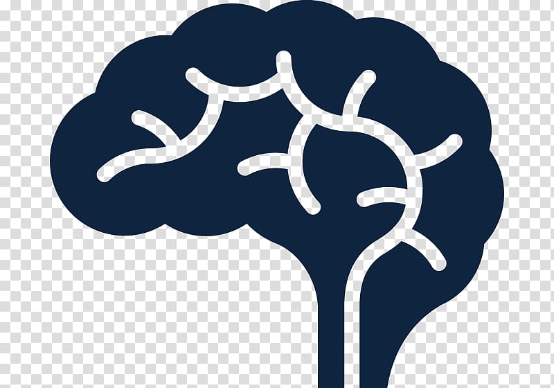 Brain, Human Brain, Neuroimaging, Neuropsychology, Neurological Disorder, Tree, Plant, Branch transparent background PNG clipart