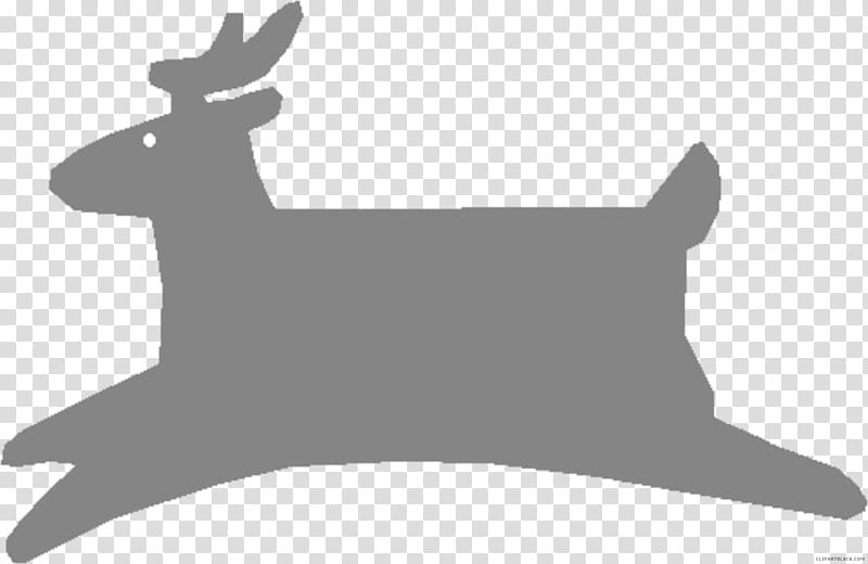 Dog And Cat, Reindeer, Whitetailed Deer, Moose, Red Deer, Elk, Seneca White Deer, Antler transparent background PNG clipart