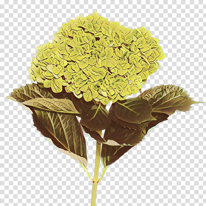 flower yellow plant leaf cut flowers, Cartoon, Hydrangea, Flowering Plant, Hydrangeaceae, Cornales, Viburnum transparent background PNG clipart