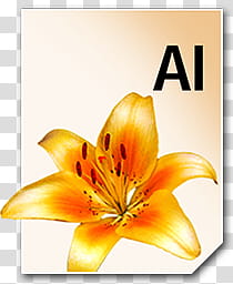 Adobe Neue Icons, AI__, orange lily flower AI icon transparent background PNG clipart