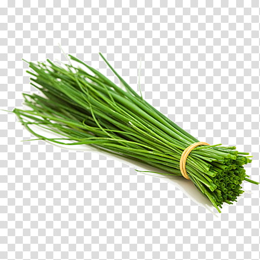 chives vegetable welsh onion plant food, Grass, Garlic Chives, Scallion, Leek transparent background PNG clipart
