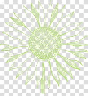 plant flower, Watercolor, Paint, Wet Ink transparent background PNG clipart thumbnail