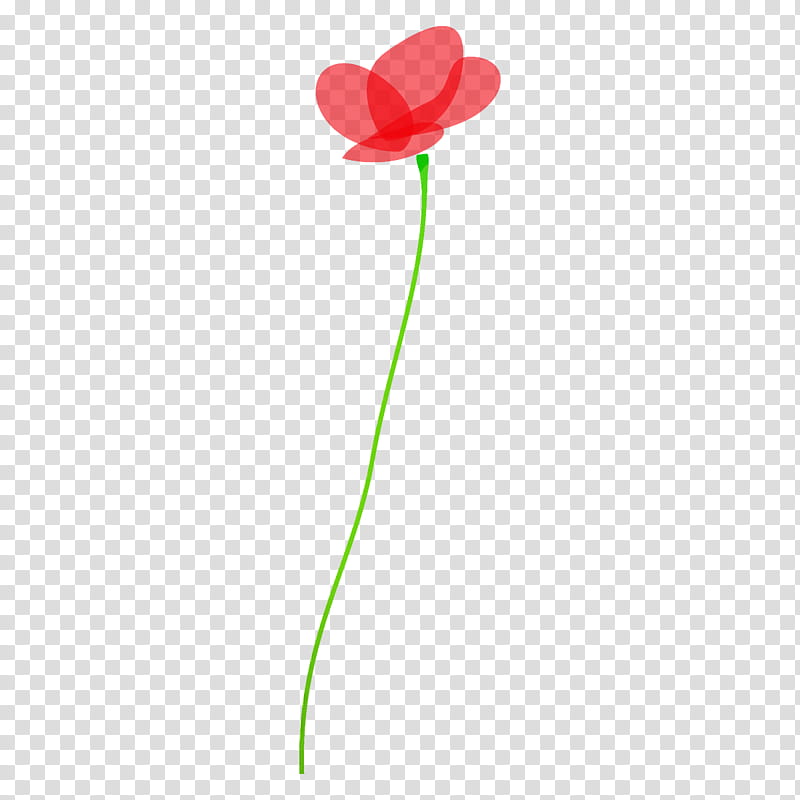 poppy flower, Pink, Tulip, Plant, Plant Stem, Pedicel, Petal, Coquelicot transparent background PNG clipart