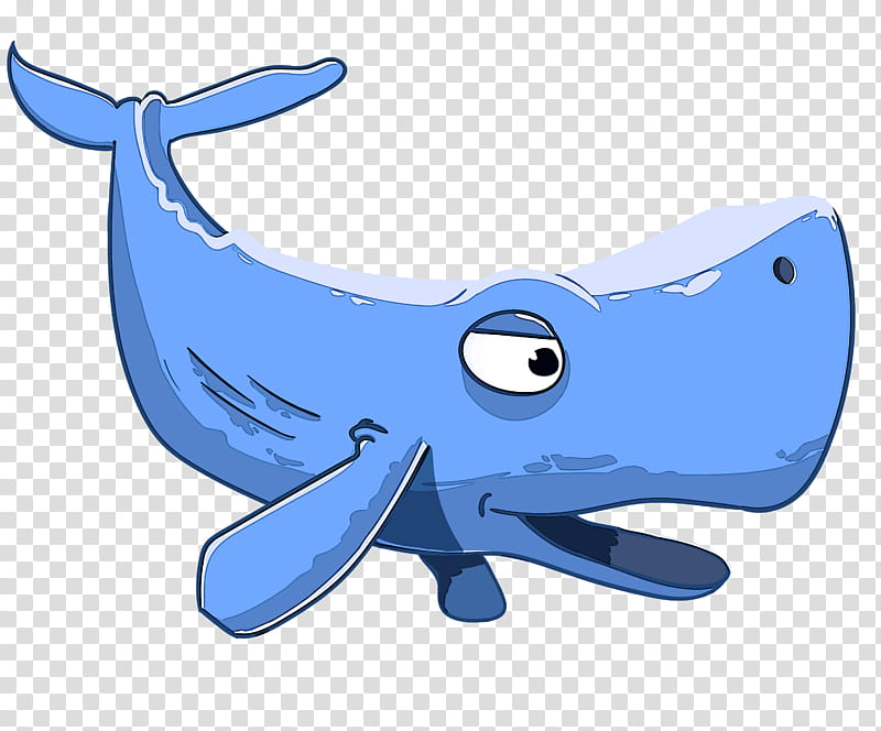 Shark, Cartoon, Fish, Whale, Cetacea, Animal Figure, Blue Whale transparent background PNG clipart