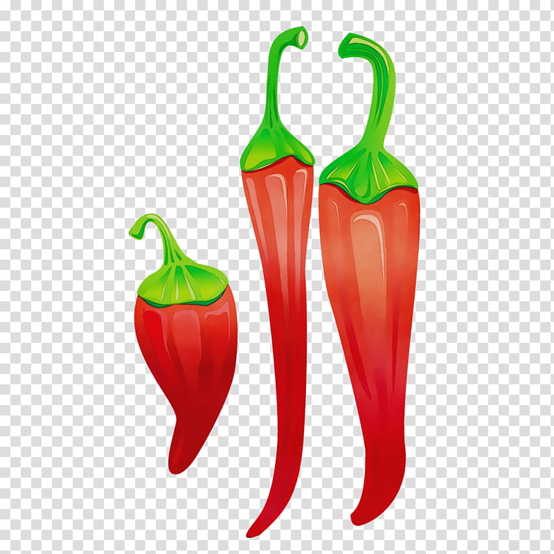 chili pepper tabasco pepper malagueta pepper vegetable serrano pepper, Watercolor, Paint, Wet Ink, Peperoncini, Plant, Paprika transparent background PNG clipart