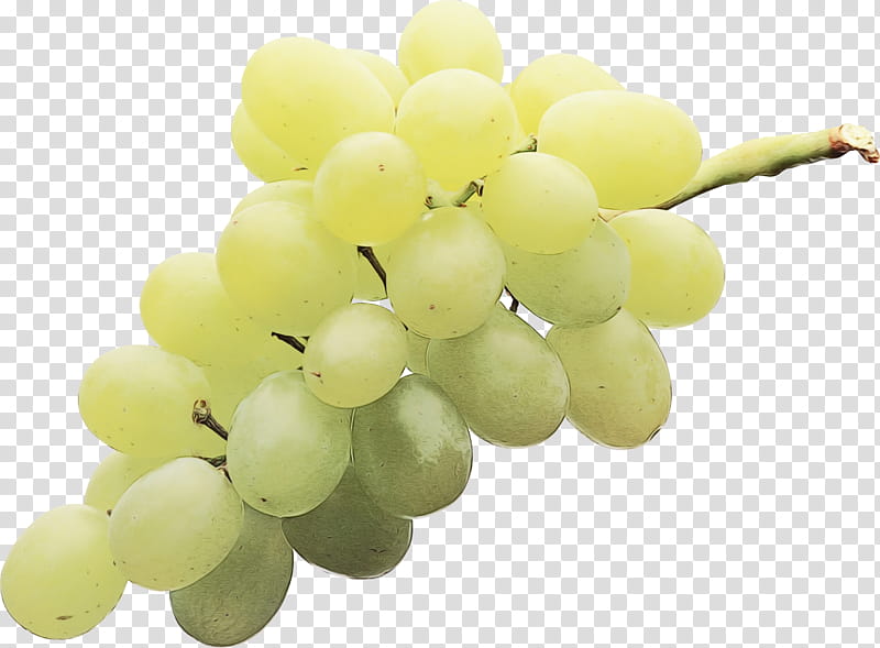 Grapes, Sultana, Seedless Fruit, Wine, Flame Seedless, Food, Berries, Common Grape Vine transparent background PNG clipart