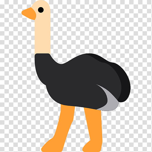 Dodo Bird, Common Ostrich, Animal, Food, Web Feed, Emu, Pet, Flightless Bird transparent background PNG clipart