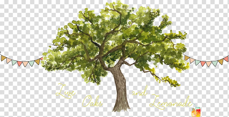 Tree Trunk Drawing, Branch, English Oak, Northern Red Oak, Watercolor Painting, Twig, Bark, Wood transparent background PNG clipart