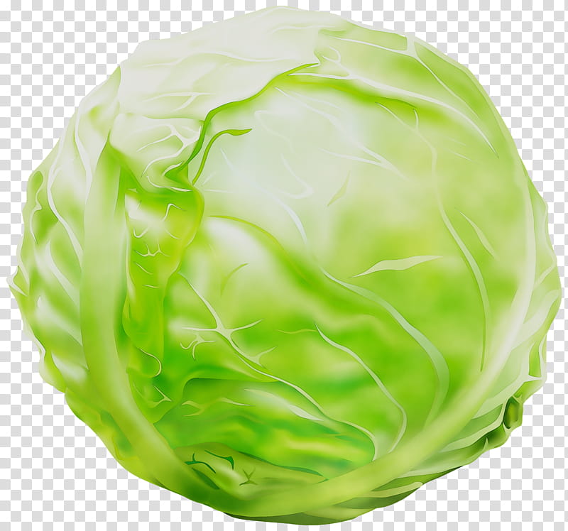 Green Leaf, Cabbage, Greens, Iceburg Lettuce, Wild Cabbage, Vegetable, Leaf Vegetable, Food transparent background PNG clipart