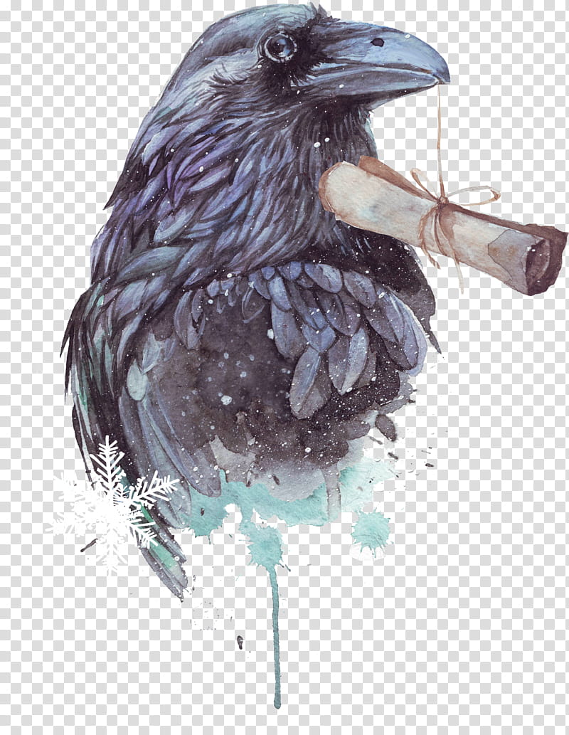 Watercolor, American Crow, Bird, Ink Wash Painting, Computer Software, Magpie, Raven, Drawing transparent background PNG clipart