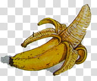 fruits , yellow banana transparent background PNG clipart