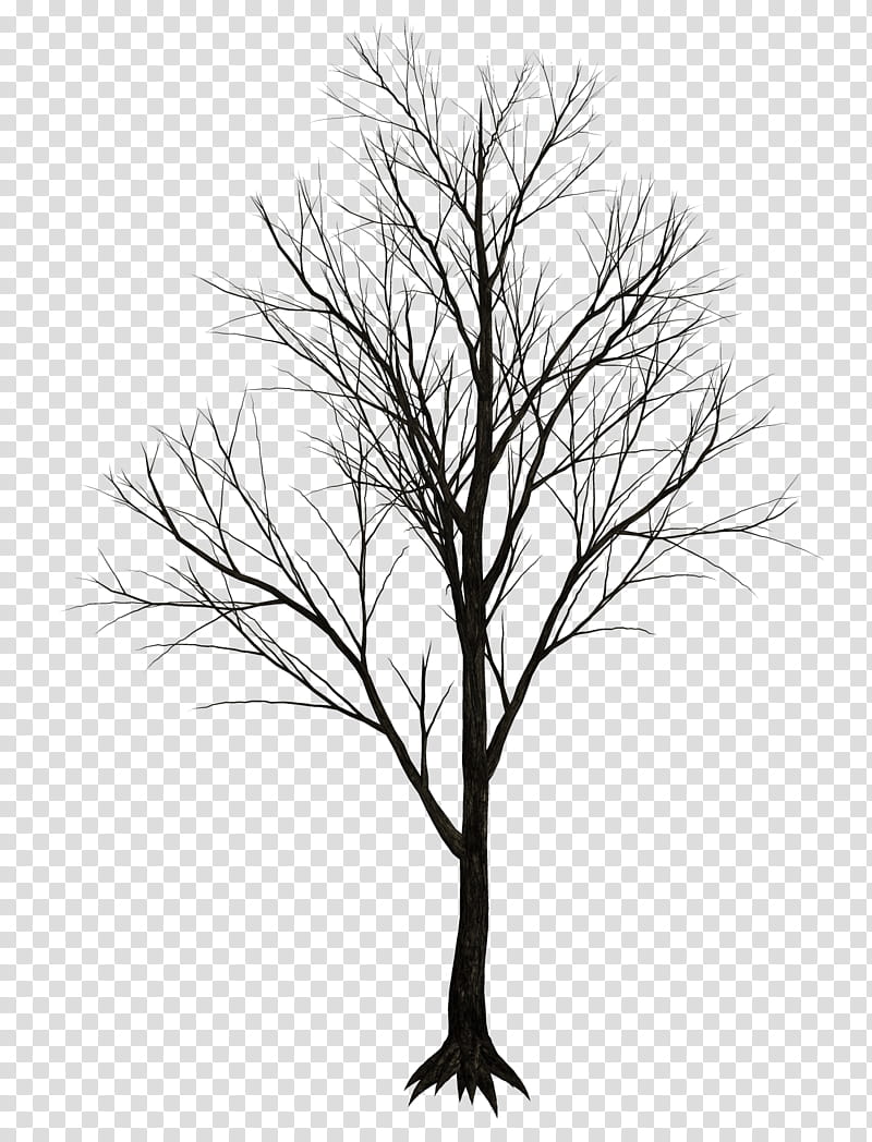 Dark Trees , leafless tree transparent background PNG clipart