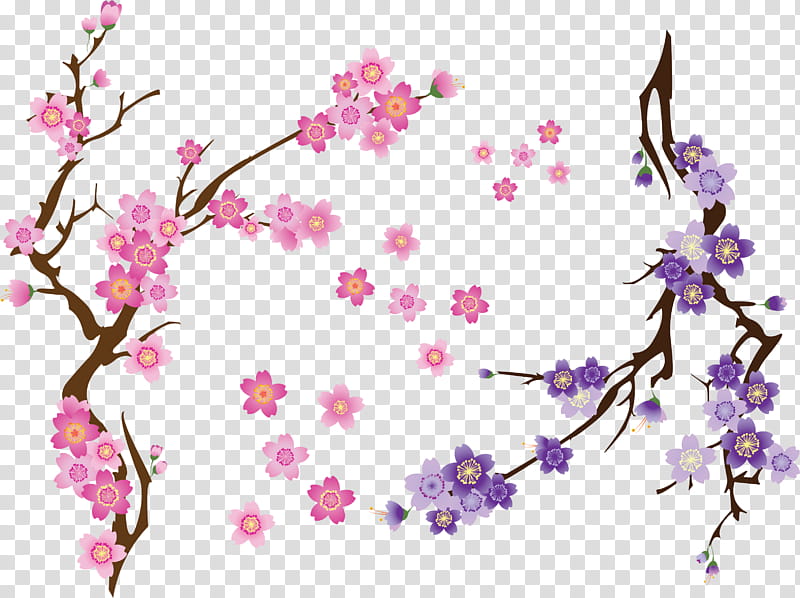 Cherry Blossom Flower, Drawing, Cherries, BORDERS AND FRAMES, Painting, National Cherry Blossom Festival, Japanese Art, Plant transparent background PNG clipart
