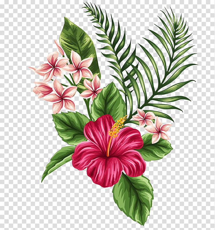 Plants X, pink hibiscus flower artwork transparent background PNG clipart