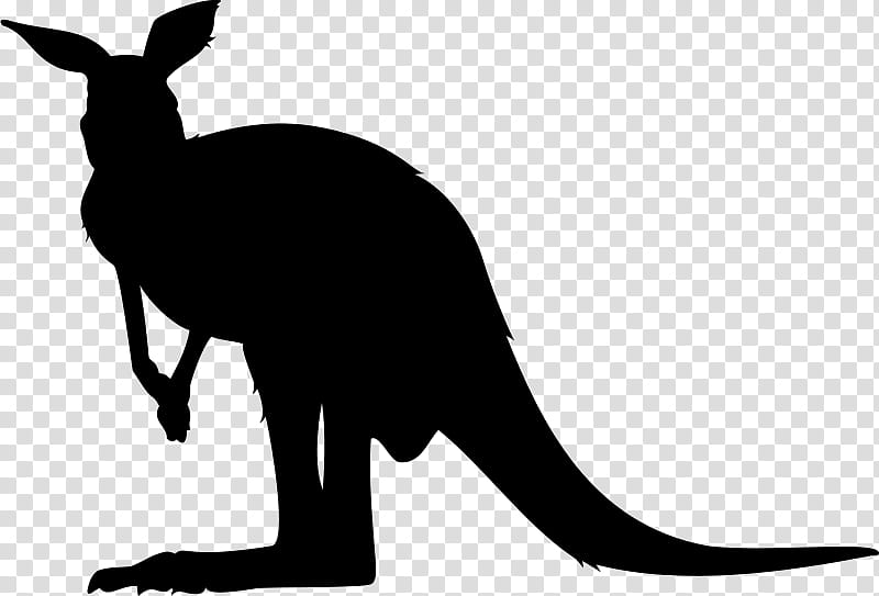 Featured image of post Kangaroo Silhouette Png Silhouette kangaroo pocket snake silhouette griffon silhouette woman silhouette kangaroo tree silhouette silhouette wellness sa